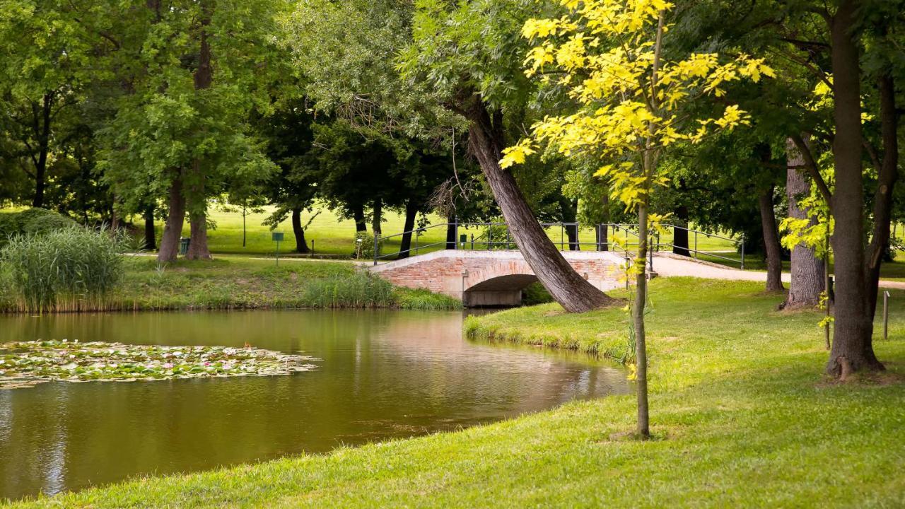 Károlyi Kastély Hotel&Restaurant Fehérvárcsurgó Kültér fotó